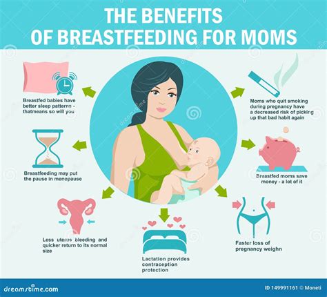 Infographics The Advantages And Disadvantages Of Breastfeeding Stock