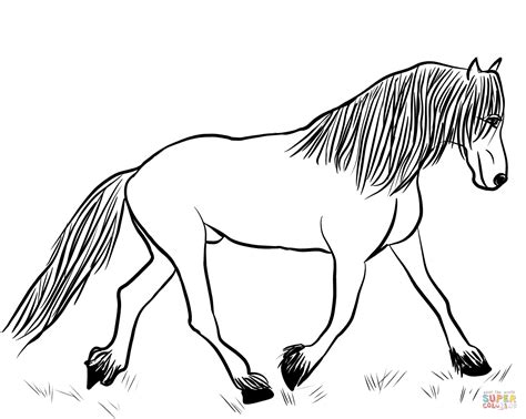 friesian horse coloring page  printable coloring pages