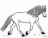 Coloring Horse Friesian Pages Horses Categories sketch template