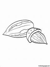 Almond Coloring Pages Getdrawings Drawing Save sketch template