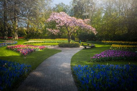 Le Plus Beau Jardin De Fleurs Du Monde Na Pas De Visiteurs Pour La
