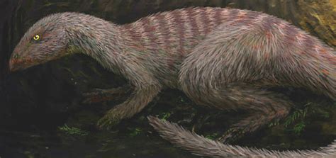 10 Tipos De Dinosaurio Que No Te Enseñaron En Jurassic Park