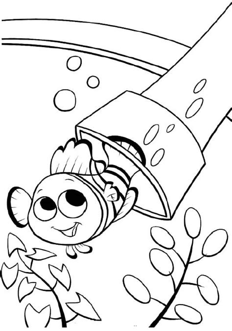 printable nemo  fish coloring pages finding nemo coloring pages kidsdrawing