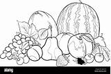 Frutas Verduras Alamy Frutta Colorare Google Vettoriale Colorir Alimentos Ilustracja Izakowski Kolorowanka Grupa Drawings Flores Ilustración Getdrawings sketch template