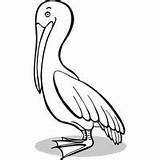 Surfnetkids Coloring Bird Previous Animals sketch template