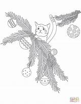 Coloring Pages Christmas Cat Tree Branches Printable Adults Color Kids Drawing sketch template