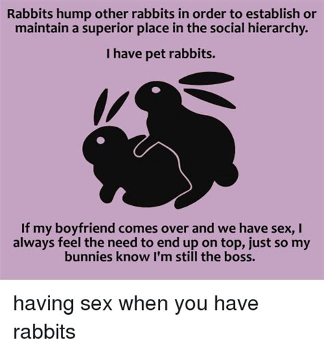 sex bunnies telegraph