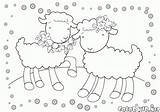 Colorare Ovejas Cordero Pecore Lambs Cabra Cabras Reino Lamb Capre Agnello Elegantes Corderos Agnelli Eleganti Kozy Owce Aventura Malvorlagen Coloriage sketch template
