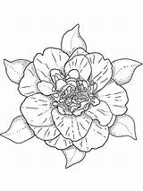 Camellia Flower Coloring Pages Flowers Recommended sketch template