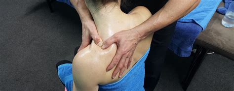 Massage Therapy Dunedin Back Muscle Pain Body Synergy