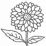Coloring Pages Flowers Detailed Flower Color Printable Print Getcolorings sketch template