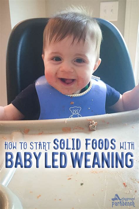 transitions starting solids  baby led weaning foods