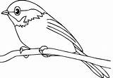 Bird Outline Printable Coloring Popular Pages sketch template