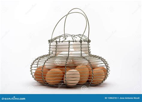 eggs  hanging basket stock photo image  ingredients
