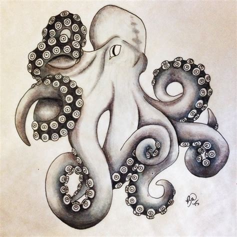 octopus drawing pictures  getdrawings