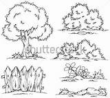 Arbustos Para Colorear Arbusto Dibujo Dibujos Plantas Coloring Desde Guardado Childrencoloring Actividades sketch template