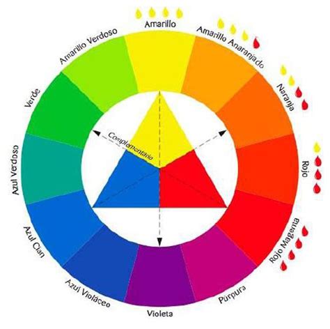 circulos cromaticos images  pinterest search searching  color palettes