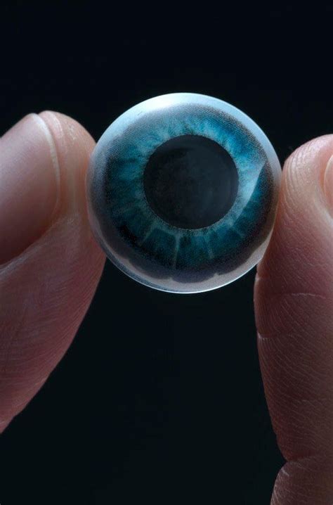 mojo vision lens ar contact lens seamlessly displays digital