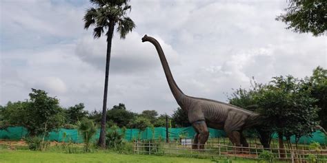 dino world theme park hyderabad entry fee timings  day package