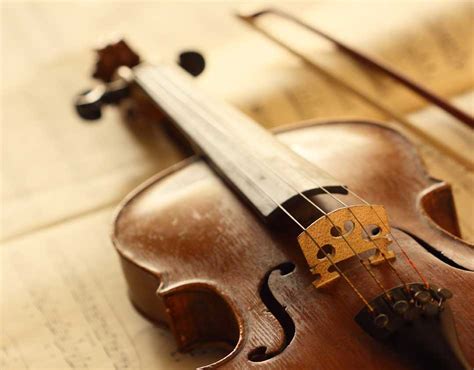 Instrument Lessons Preucil School Of Music