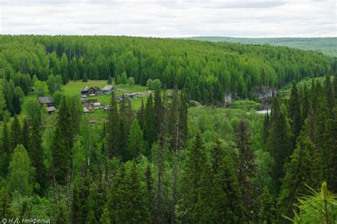 komi the biggest virgin forest in europe russia the
