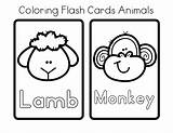 Flashcards sketch template