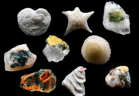 sand magnified  awesomer