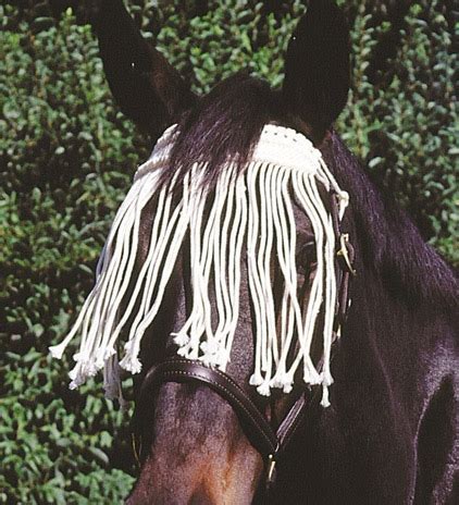 stable supplies  consumables fly control fly masks  protection
