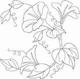 Glory Morning Flower Coloring Embroidery Patterns Flowers Hand Designs Quilters Getdrawings Larger Quilting Line Anita Choose Board sketch template