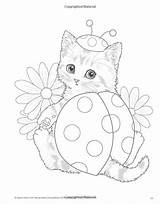Teacup Kittens Harai Katzenbabys Kayomi Katze Ausmalen sketch template