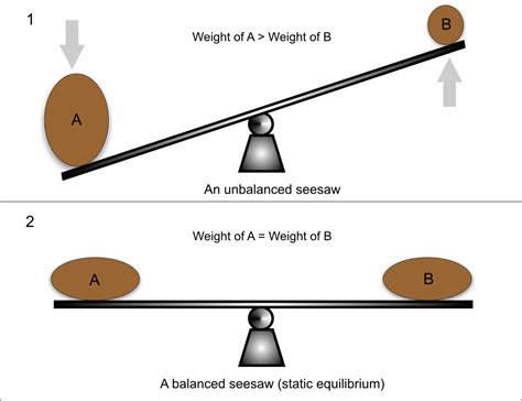 chemical equilibrium  types  equilibrium equilibrium constant