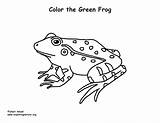 Frog Coloring Green Color Southern Getcolorings Exploringnature sketch template