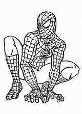 Spiderman Spider Man Coloring Pages Drawing Printable Batman Da Homecoming Adults Colorare Step Vs Amazing Disegni Bambini Per Clipart Superhero sketch template