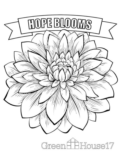 easy coloring pages  seniors  coloring pages