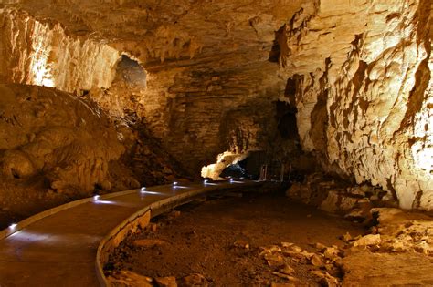 mystical glow worm caves  waitomo  zealand