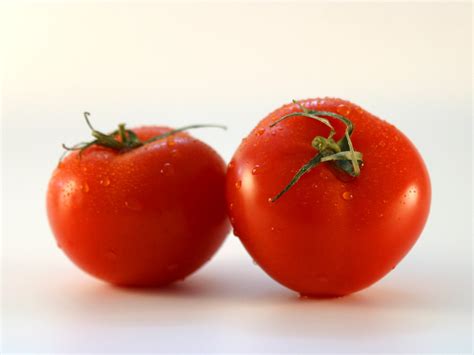 tomatoes  photo  freeimages