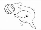 Dolphin Colorir Golfinhos Golfinho Animales Delfini Template Delfin Colorat Dolfijn Bola Marini Delfino Jogando Desene Kleurplaten Acquatici Planse Pesti Copii sketch template
