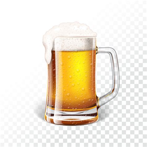 vector illustration  fresh lager beer   beer mug  vector