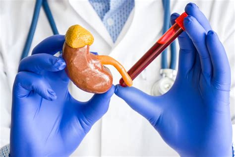 kidney function test  bengaluru medvinlabcom