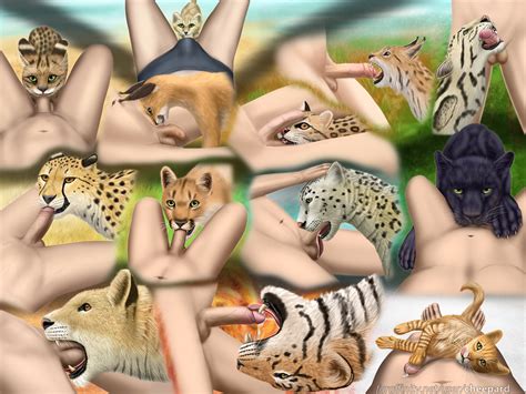 Rule 34 Balls Caracal Cheepard Cheetah Clouded Leopard Cougar Cum