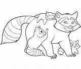 Raccoon Coloring Pages Kids Printable Family Racoon Colouring Raccoons Sheet Bestcoloringpagesforkids Sheets Animal Print Woodland Draw Adult Printables Forest Animals sketch template