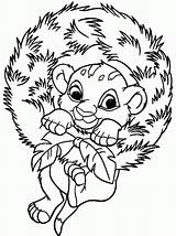 Simba Coloring Pages Baby Medium Hyena Lion King Printable Spotted Disney Christmas Getcolorings Color Kids Comments Adult Coloringhome Little sketch template