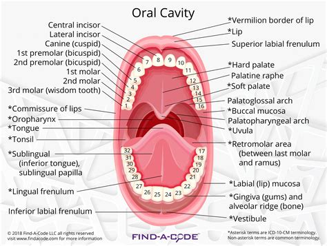 dental articles  resources
