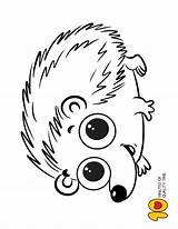 Hedgehog Coloring Pages Cute Colouring Easy Sheets Color Colors Choose Board Drawing sketch template