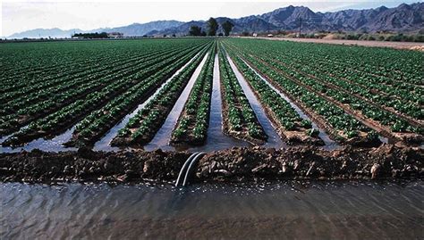 surface irrigation methods advantages  disadvantages