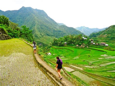 images   philippino countryside rice terraces benguet entry
