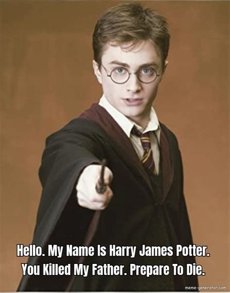 Hello My Name Is Harry James Potter You Killed My Father