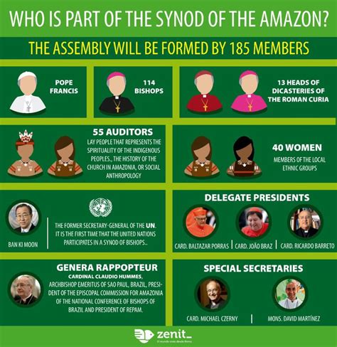 jungle chronicling  amazon synod novus ordo