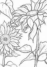 Coloring Sunflower Pages Sheets Adult Mandala Drawing Flower Printable Books Book Fabric Colouring Theodysseyonline Painting sketch template
