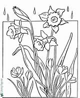 Coloring Spring Pages Flowers Flower Printable Kids Rainy Adults Drawing Sheets Pretty Book Rain Colouring Clipart Color Colors Tulip Flores sketch template